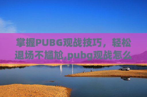 掌握PUBG观战技巧，轻松退场不尴尬,pubg观战怎么退出