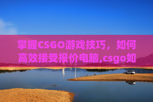掌握CSGO游戏技巧，如何高效接受报价电脑,csgo如何接受报价steam
