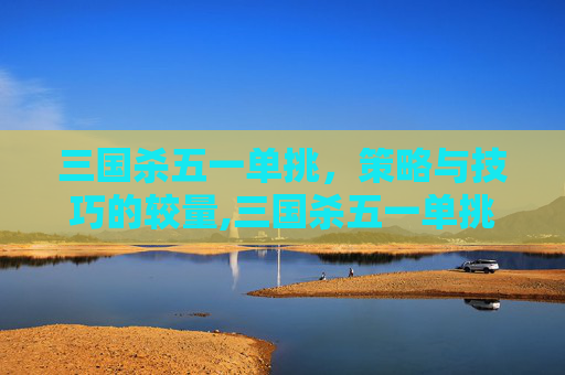 三国杀五一单挑，策略与技巧的较量,三国杀五一单挑武将排名