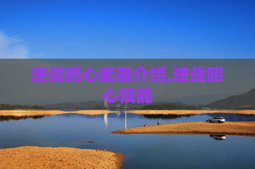 逆战昭心武器介绍,逆战昭心技能