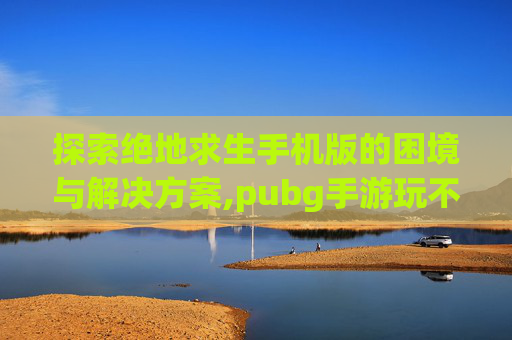 探索绝地求生手机版的困境与解决方案,pubg手游玩不了
