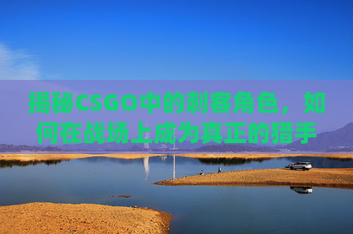揭秘CSGO中的刺客角色，如何在战场上成为真正的猎手,csgo刺客印花彩蛋
