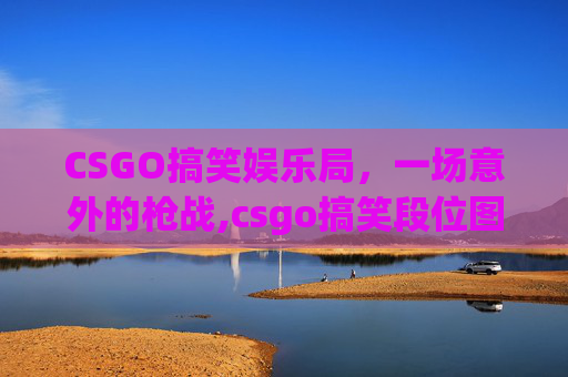 CSGO搞笑娱乐局，一场意外的枪战,csgo搞笑段位图
