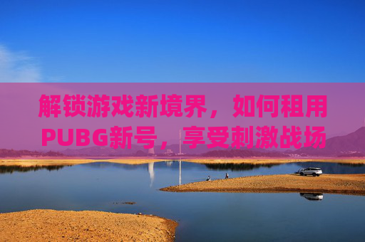 解锁游戏新境界，如何租用PUBG新号，享受刺激战场,pubg mobile 租号