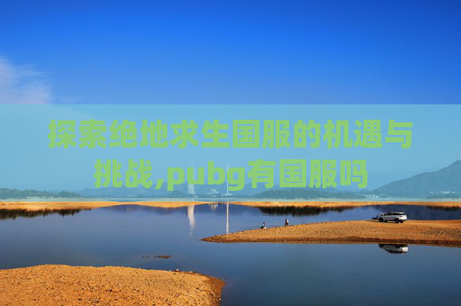 探索绝地求生国服的机遇与挑战,pubg有国服吗