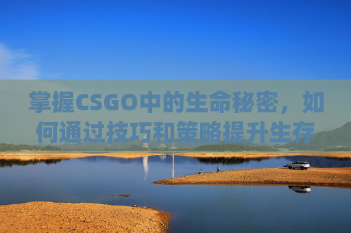 掌握CSGO中的生命秘密，如何通过技巧和策略提升生存率,csgo改生命值