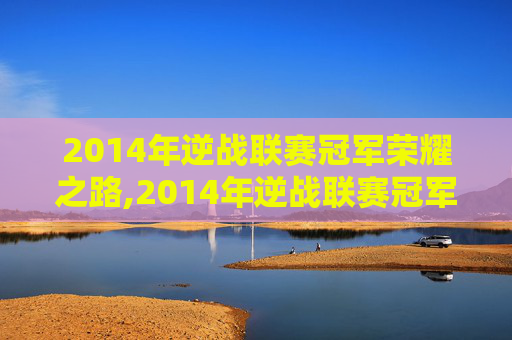 2014年逆战联赛冠军荣耀之路,2014年逆战联赛冠军阵容