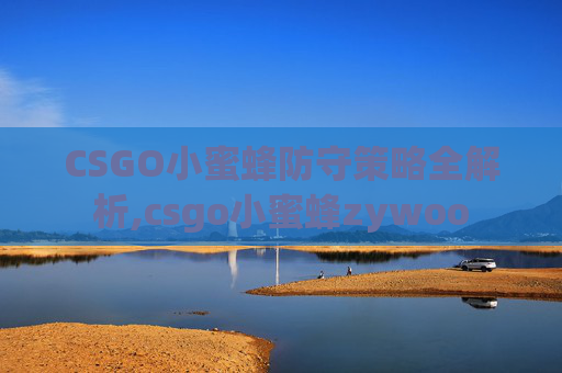 CSGO小蜜蜂防守策略全解析,csgo小蜜蜂zywoo-第1张图片-游戏守望资讯网