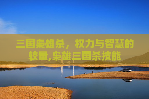 三国枭雄杀，权力与智慧的较量,枭雄三国杀技能