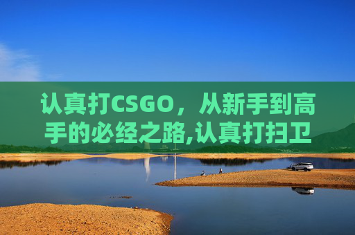认真打CSGO，从新手到高手的必经之路,认真打扫卫生的句子