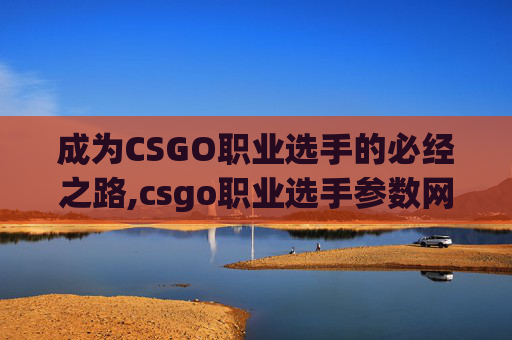 成为CSGO职业选手的必经之路,csgo职业选手参数网站