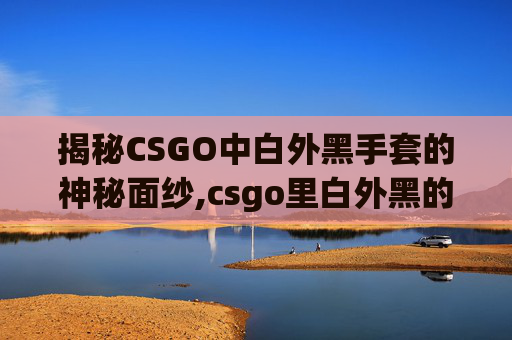 揭秘CSGO中白外黑手套的神秘面纱,csgo里白外黑的手套叫什么