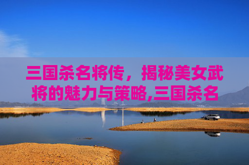 三国杀名将传，揭秘美女武将的魅力与策略,三国杀名将传女角色