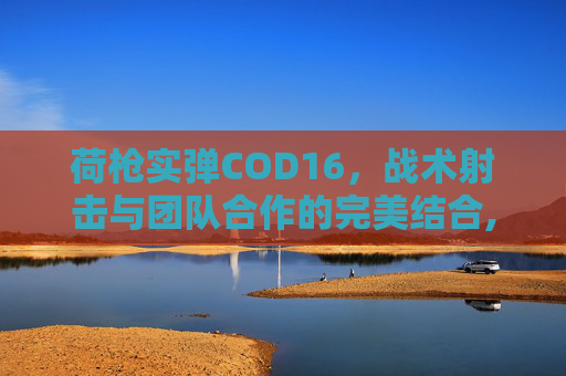 荷枪实弹COD16，战术射击与团队合作的完美结合,荷枪实弹的荷什么意思