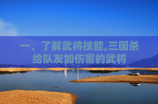 一、了解武将技能,三国杀给队友加伤害的武将