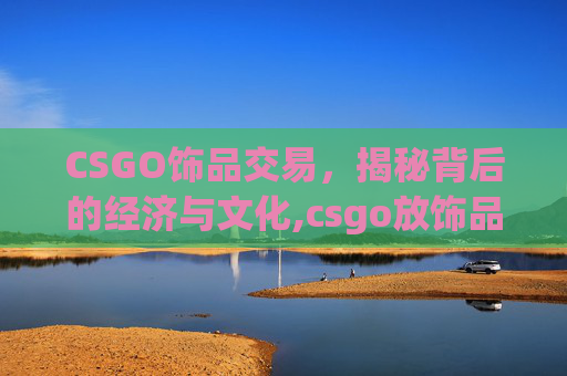 CSGO饰品交易，揭秘背后的经济与文化,csgo放饰品什么意思啊
