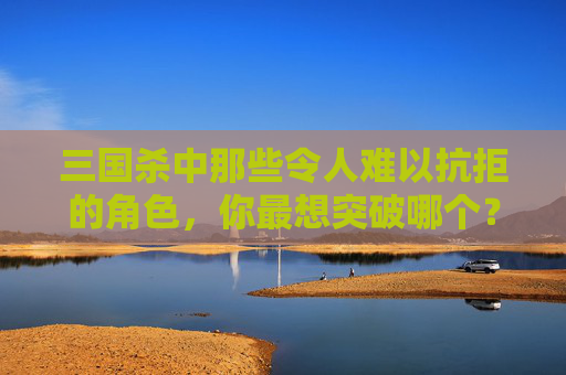 三国杀中那些令人难以抗拒的角色，你最想突破哪个？,三国杀突破什么意思