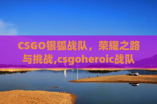 CSGO银狐战队，荣耀之路与挑战,csgoheroic战队