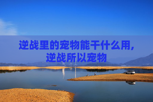 逆战里的宠物能干什么用,逆战所以宠物