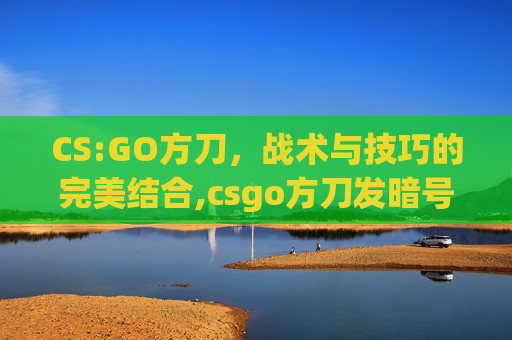 CS:GO方刀，战术与技巧的完美结合,csgo方刀发暗号啥意思