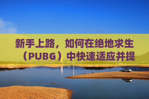 新手上路，如何在绝地求生（PUBG）中快速适应并提升你的游戏技巧,pubg进入游戏后无响应