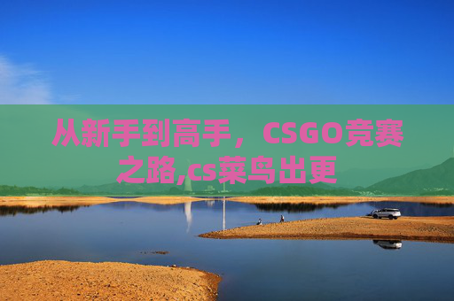 从新手到高手，CSGO竞赛之路,cs菜鸟出更
