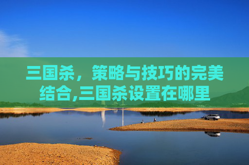 三国杀，策略与技巧的完美结合,三国杀设置在哪里
