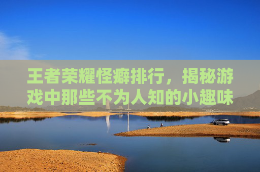 王者荣耀怪癖排行，揭秘游戏中那些不为人知的小趣味,王者荣耀怪癖排行榜最新