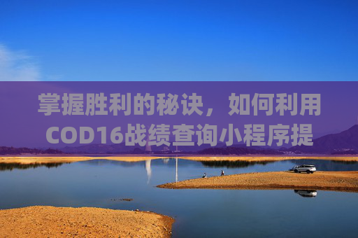 掌握胜利的秘诀，如何利用COD16战绩查询小程序提升你的游戏技能,cod16战绩查询app