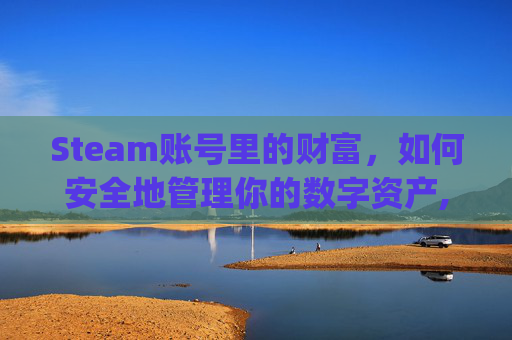 Steam账号里的财富，如何安全地管理你的数字资产,steam账号有钱为什么csgo不能用