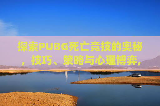 探索PUBG死亡竞技的奥秘，技巧、策略与心理博弈,pubg死亡污