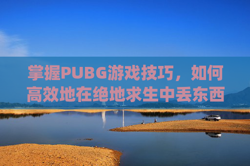 掌握PUBG游戏技巧，如何高效地在绝地求生中丢东西？,pubg丢东西怎么选择数量