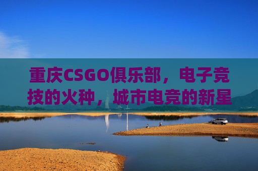 重庆CSGO俱乐部，电子竞技的火种，城市电竞的新星,最有钱的csgo俱乐部