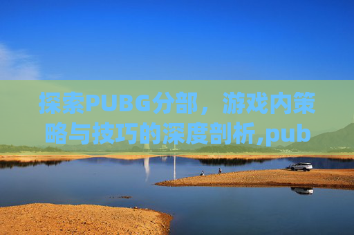 探索PUBG分部，游戏内策略与技巧的深度剖析,pubg分工