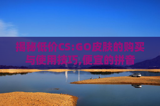 揭秘低价CS:GO皮肤的购买与使用技巧,便宜的拼音