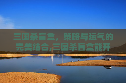 三国杀盲盒，策略与运气的完美结合,三国杀盲盒能开什么