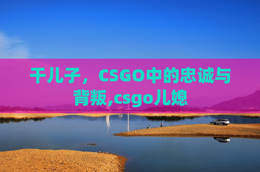 干儿子，CSGO中的忠诚与背叛,csgo儿媳