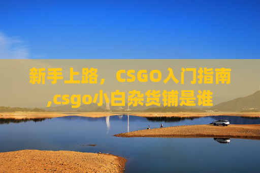 新手上路，CSGO入门指南,csgo小白杂货铺是谁
