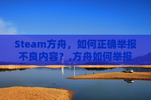Steam方舟，如何正确举报不良内容？,方舟如何举报