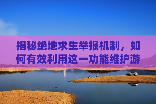 揭秘绝地求生举报机制，如何有效利用这一功能维护游戏环境？,pubg按什么键举报