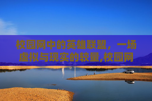 校园网中的英雄联盟，一场虚拟与现实的较量,校园网lol总掉线怎么回事