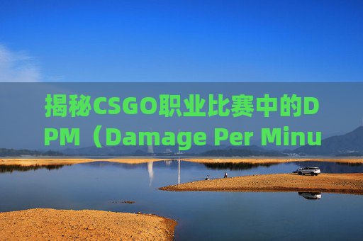 揭秘CSGO职业比赛中的DPM（Damage Per Minute）奥秘,CSGO职业选手中谁用过兵长当头像