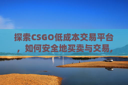 探索CSGO低成本交易平台，如何安全地买卖与交易,csgo低成本交易平台是什么