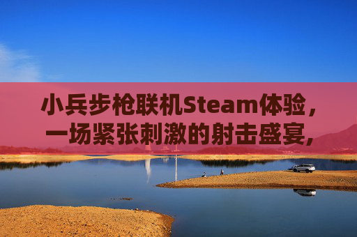 小兵步枪联机Steam体验，一场紧张刺激的射击盛宴,小兵步枪联机超时