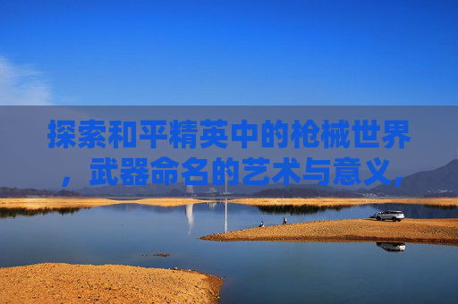 探索和平精英中的枪械世界，武器命名的艺术与意义,和平精英里武器名字怎么隐藏
