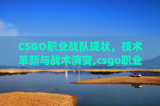 CSGO职业战队现状，技术革新与战术演变,csgo职业战队小蜜蜂