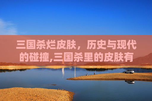 三国杀烂皮肤，历史与现代的碰撞,三国杀里的皮肤有什么用