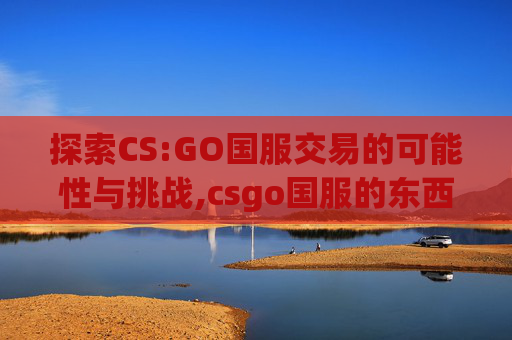 探索CS:GO国服交易的可能性与挑战,csgo国服的东西能卖吗