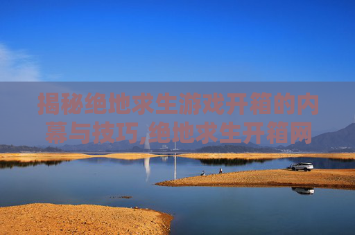 揭秘绝地求生游戏开箱的内幕与技巧,绝地求生开箱网站