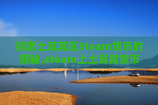 探索土耳其区Steam货币的奥秘,steam上土耳其货币